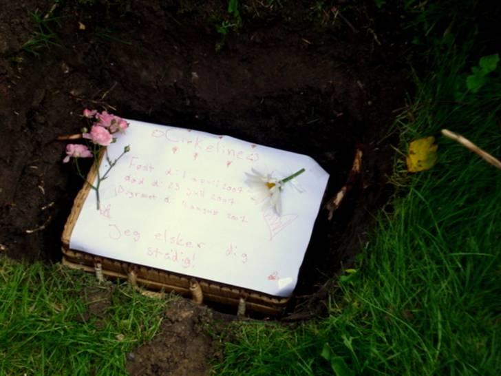 Kanin | Cirkeline *R.I.P* - 11# ´´Af jord er du kommet, til jord skal du blive, af jord vil du igen opstå´´ Farvel Cirkel <3 Foto: TInne Bendsen 04.08.2007 billede 11