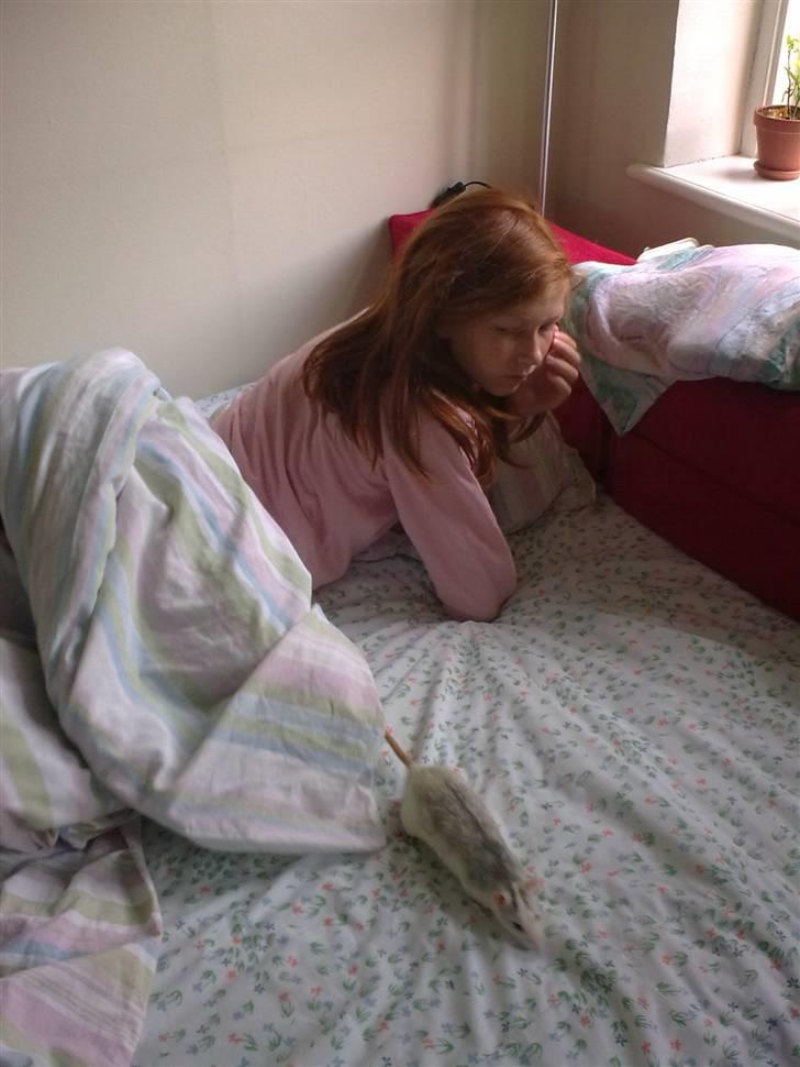 Tamrotte Incendia †Jack Skellington† billede 10