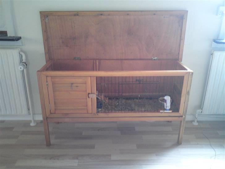 Marsvin guffe - guffes og pjuskes nye bur billede 8