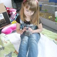 Kanin Zazja [Himmelkanin]