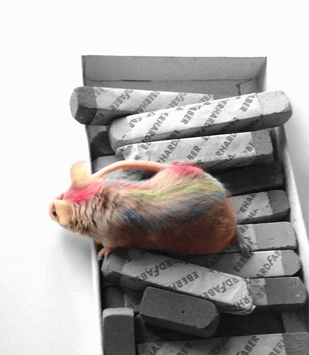 Mus Silke June (fedberg) - *Cool color mouse:D billede 20
