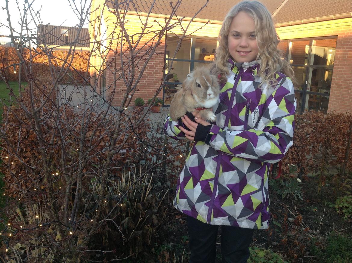 Kanin Sally billede 25