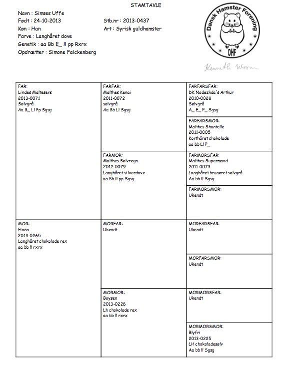 Hamster Simses Uffe billede 9