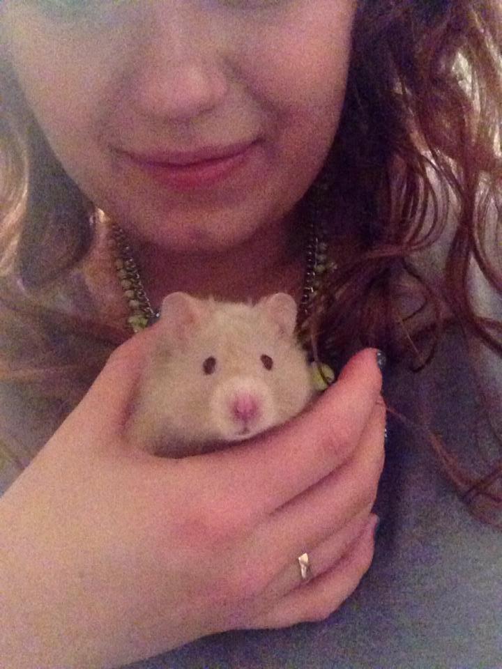 Hamster Simses Uffe billede 12