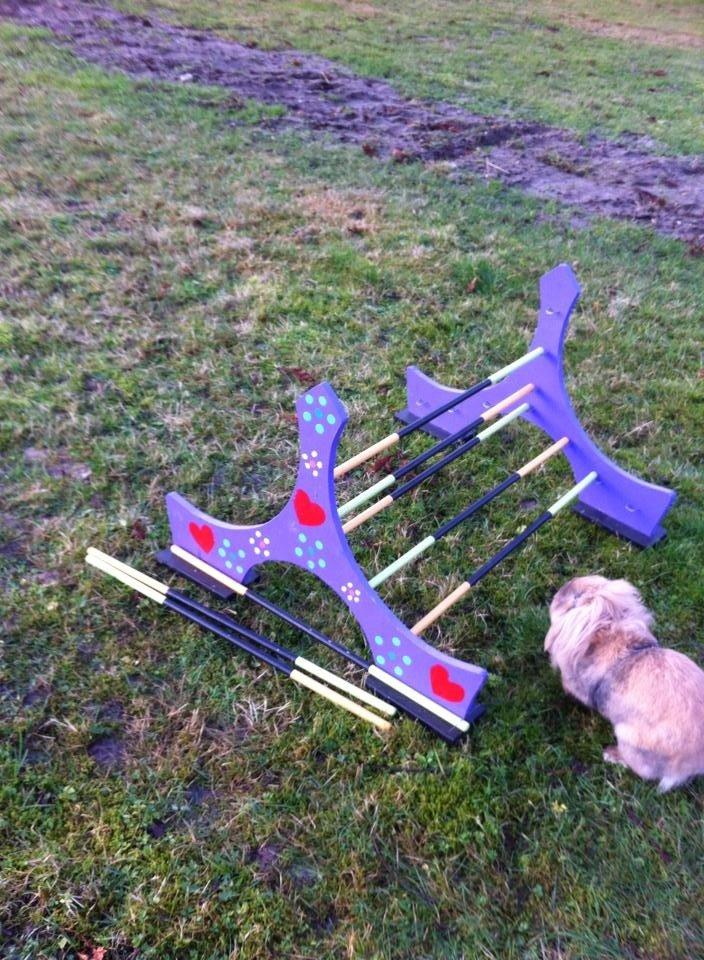 Kanin Jordbærgårdens Exotic Kaki billede 10