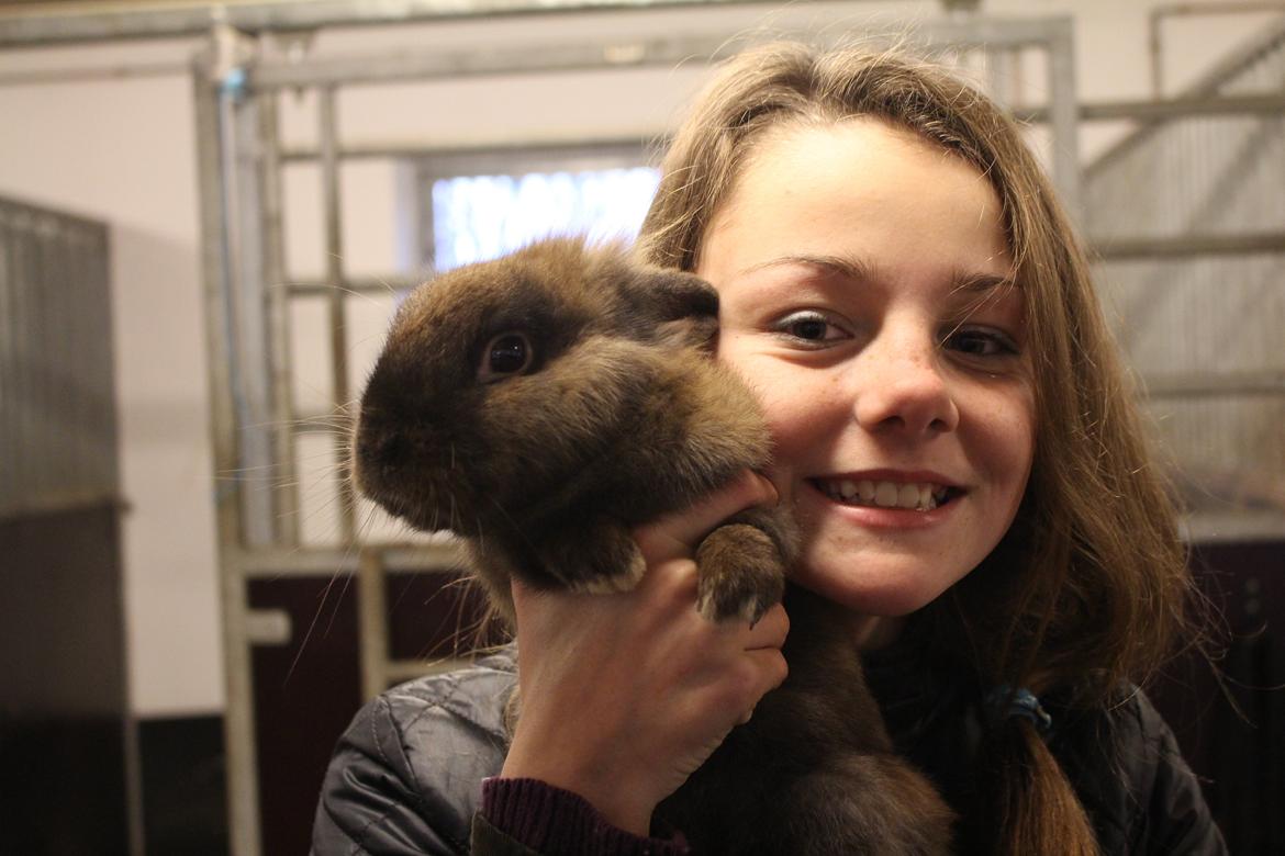 Kanin Sniffer billede 1