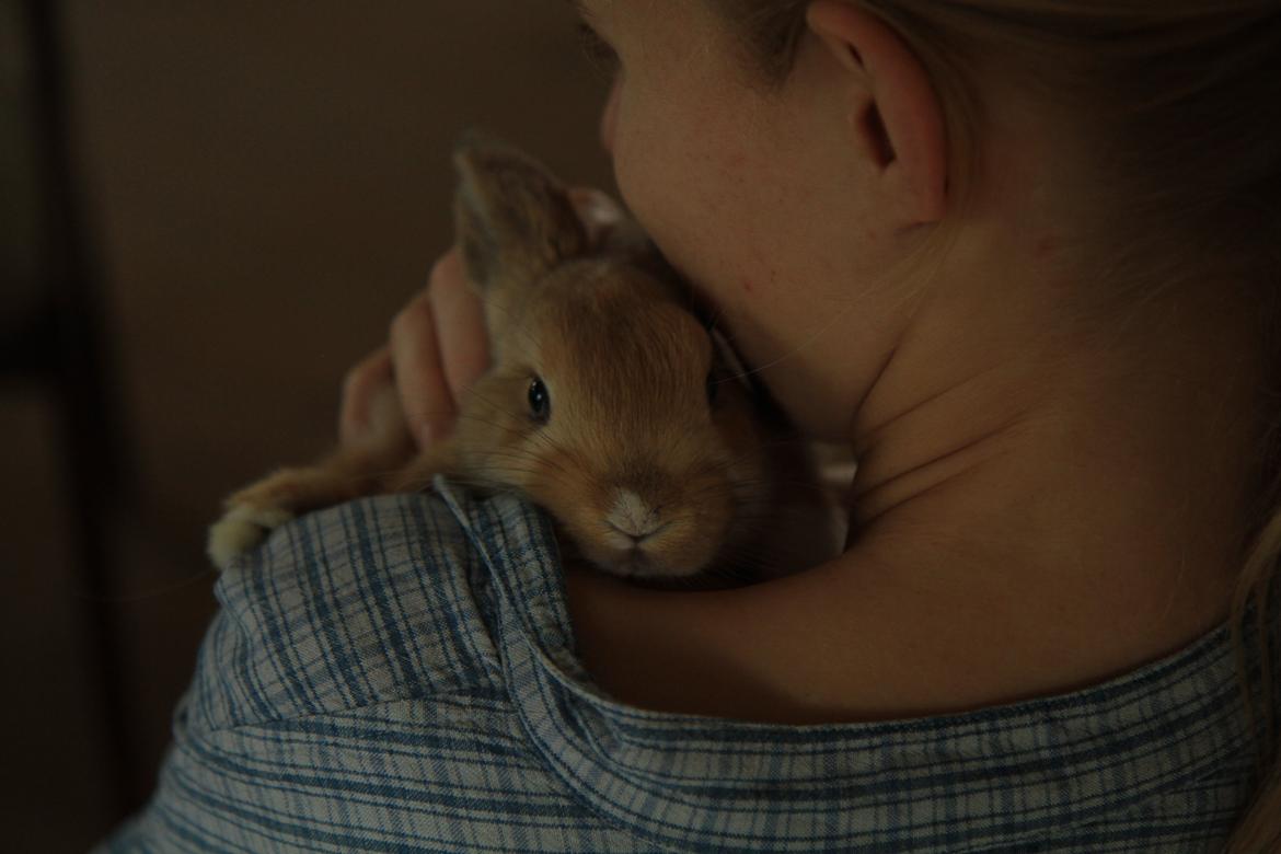 Kanin Mali billede 6