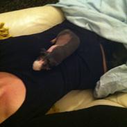 Marsvin - Skinny. En kongelig affære von Sortfod ( Øffe )