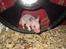 Hamster Pelle