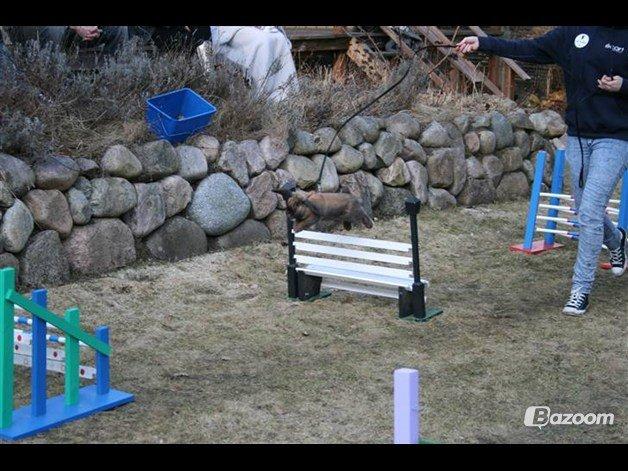 Kanin Riot's Life of Lucy † DØD 15.6.2014 † billede 7