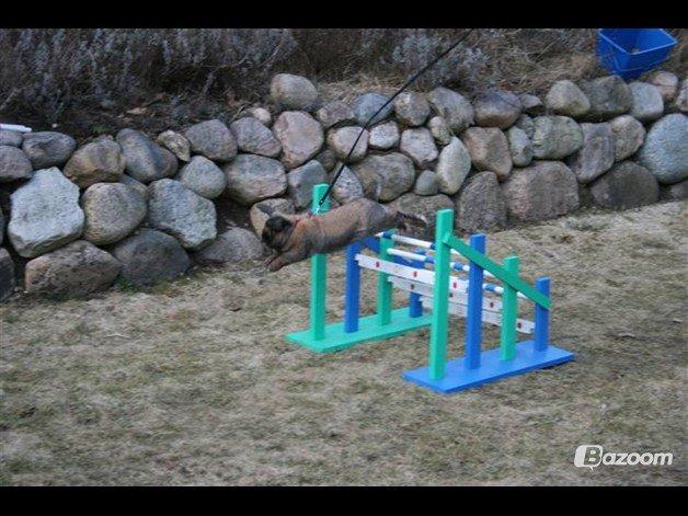 Kanin Riot's Life of Lucy † DØD 15.6.2014 † billede 8