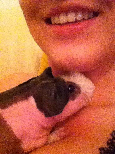 Marsvin - Skinny. En kongelig affære von Sortfod ( Øffe ) billede 8