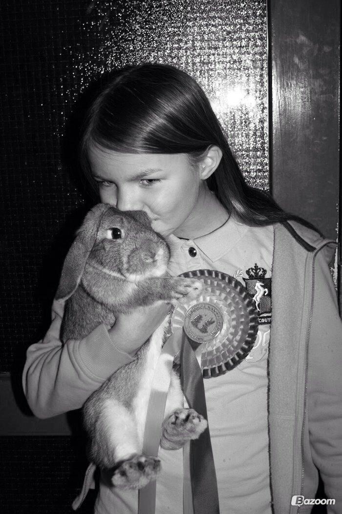 Kanin Askelunds Aius Cupido billede 8