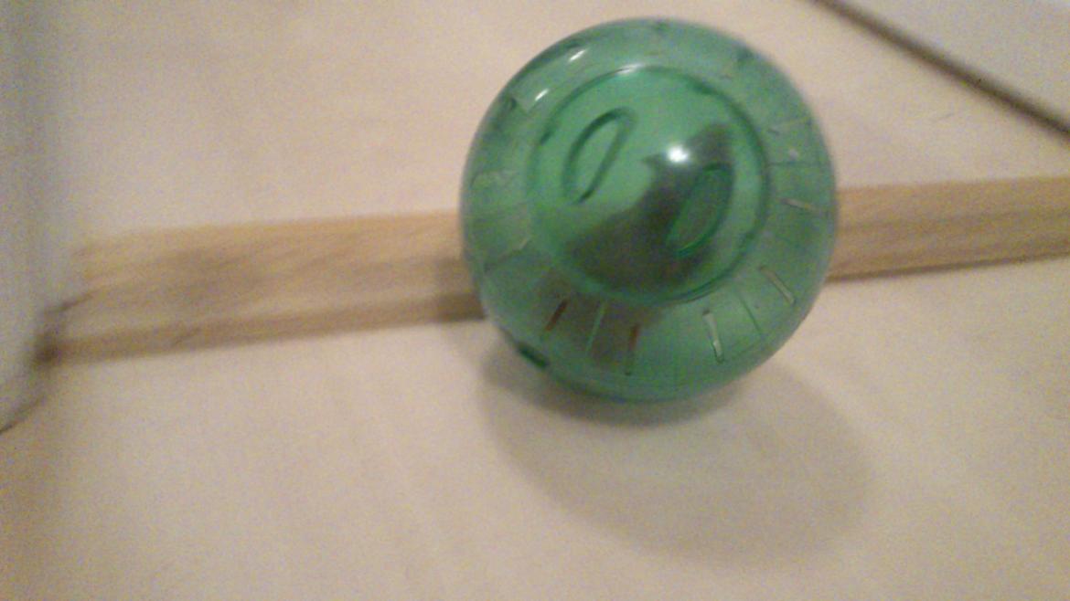 Hamster Sofie billede 3