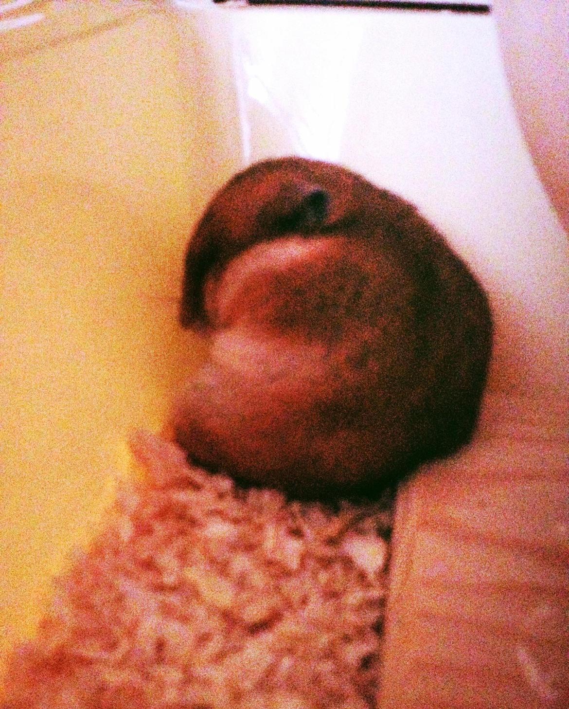 Hamster Karla - Hun er en lille puttegøj. billede 4