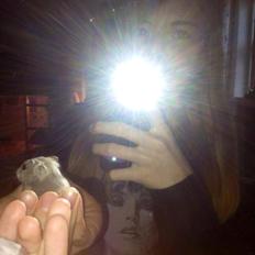 Dværghamster Schikira