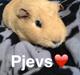 Marsvin Pjevs