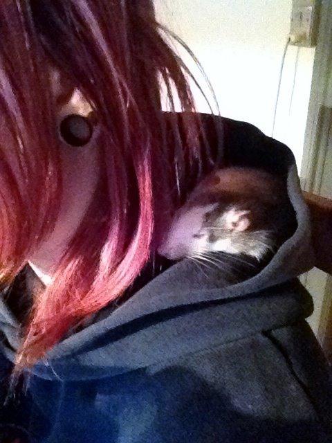 Tamrotte Rotte - Godnat <3 billede 12