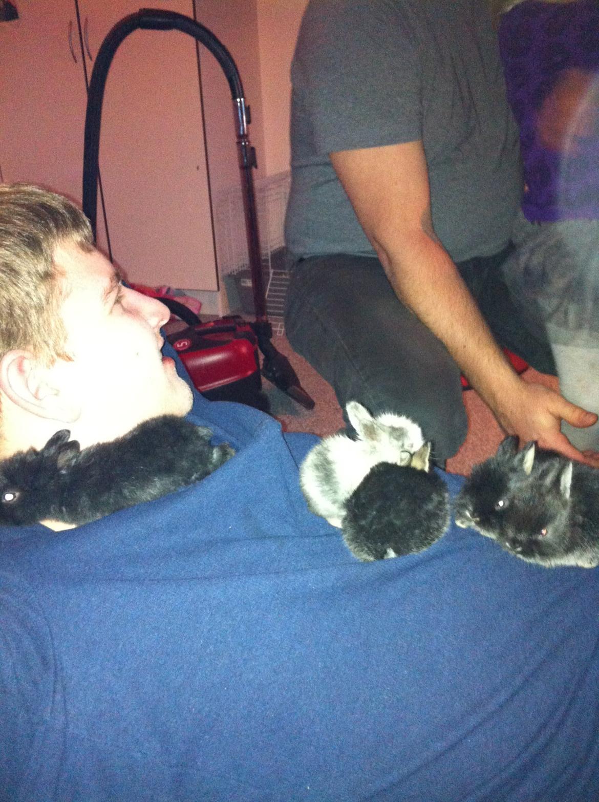 Kanin Salto (R.I.P) billede 9