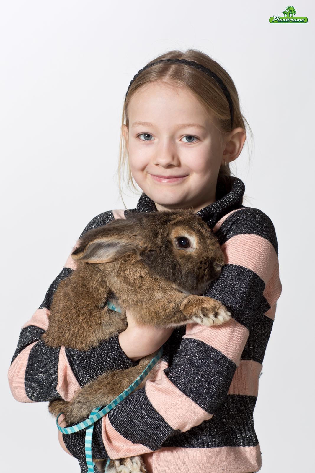 Kanin Avonako (Max) billede 13