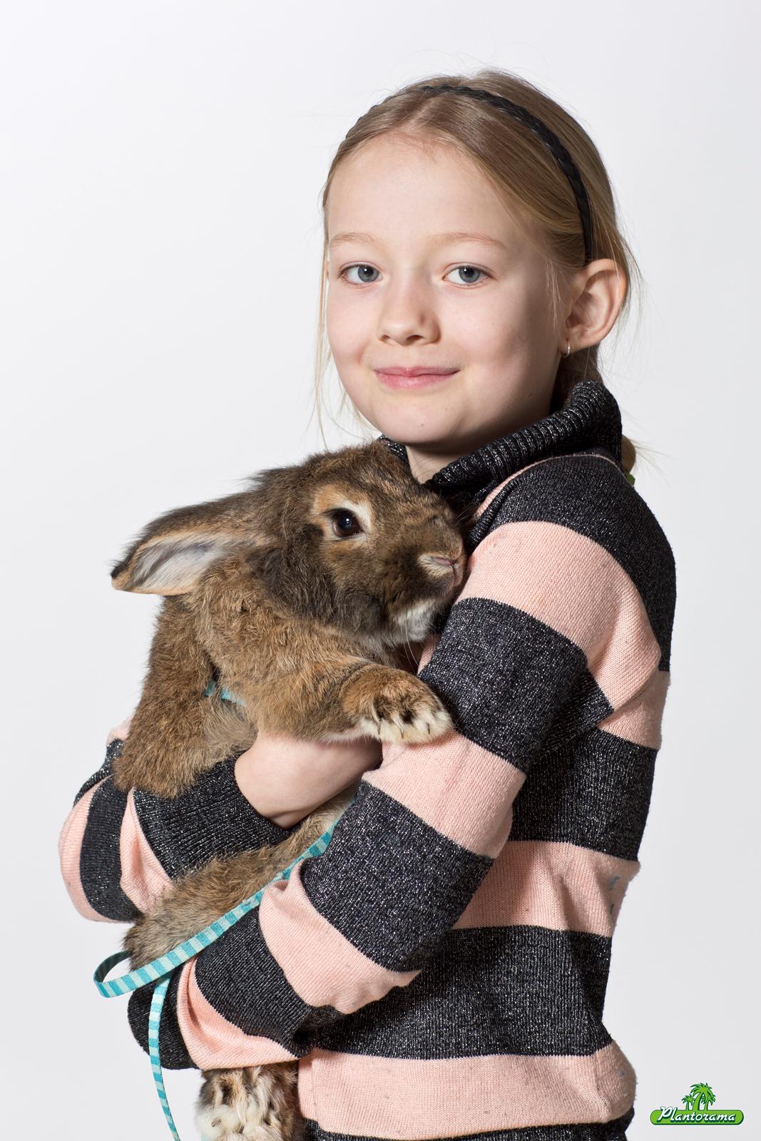 Kanin Avonako (Max) billede 14