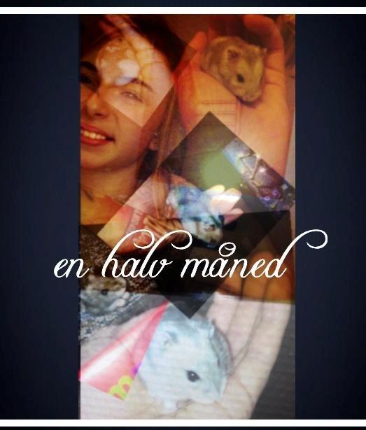 Dværghamster Schikira billede 5