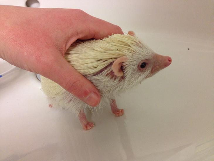 {{currentPhoto.altText}} billede {{currentPhoto.number}}