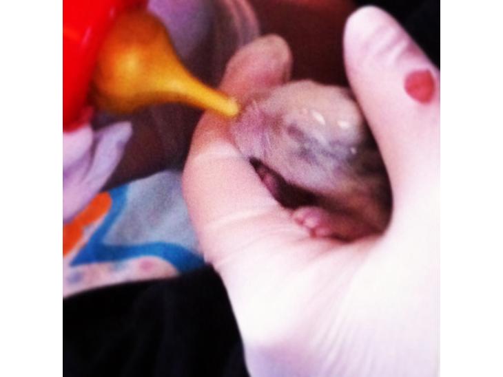 {{currentPhoto.altText}} billede {{currentPhoto.number}}