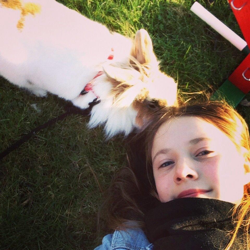 Kanin Søbakkegård´s Fidolina <3 billede 7