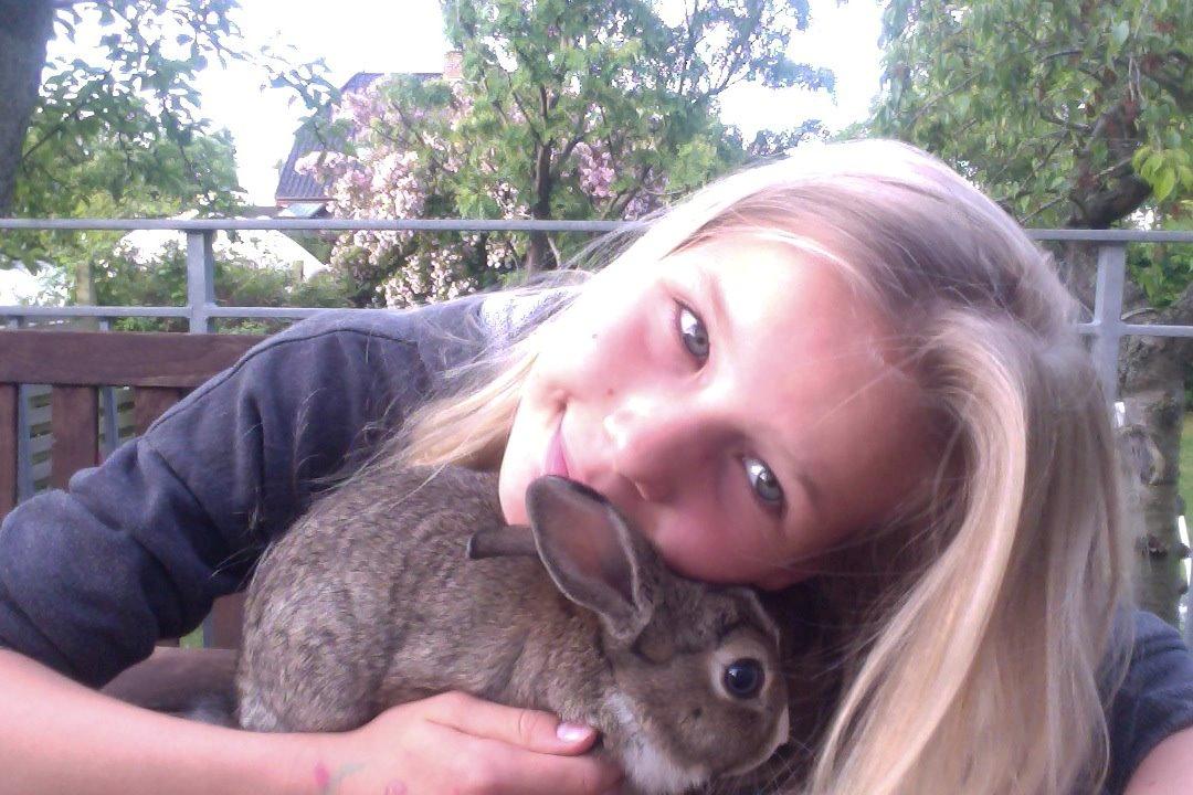 Kanin joey billede 1