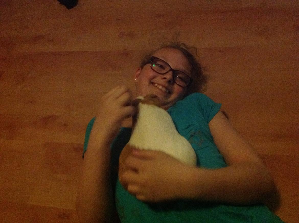 Marsvin Nuser billede 12