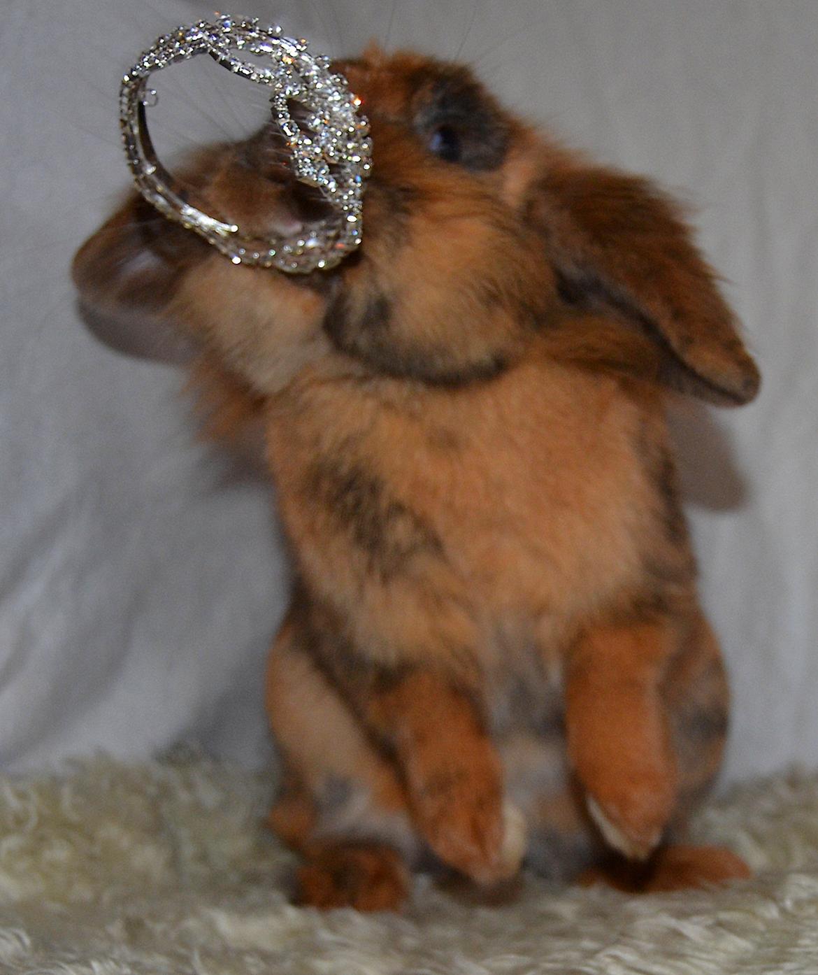 Kanin Raion billede 1