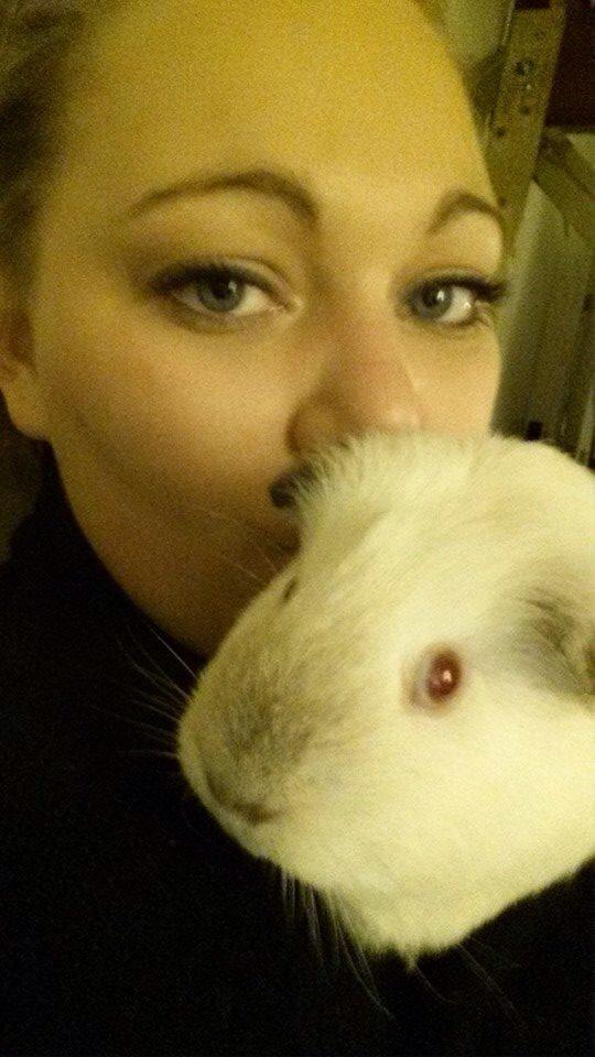 Marsvin Sif ~ lille fis billede 24