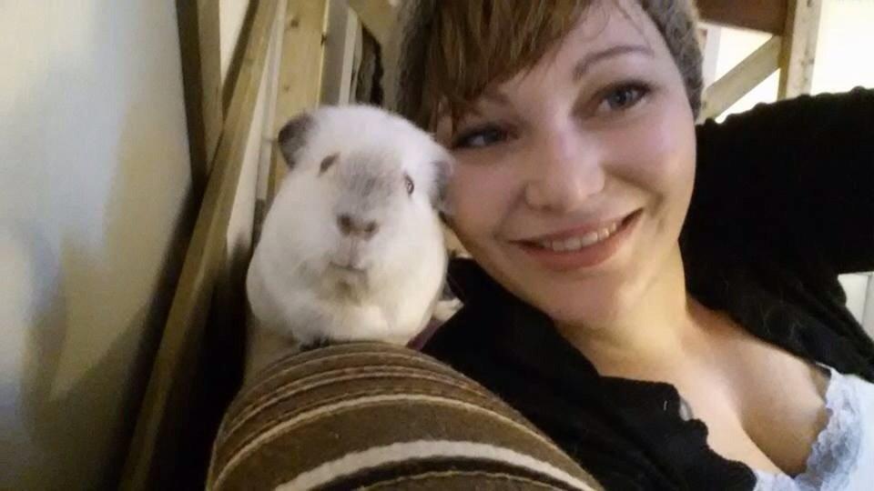 Marsvin Sif ~ lille fis billede 25