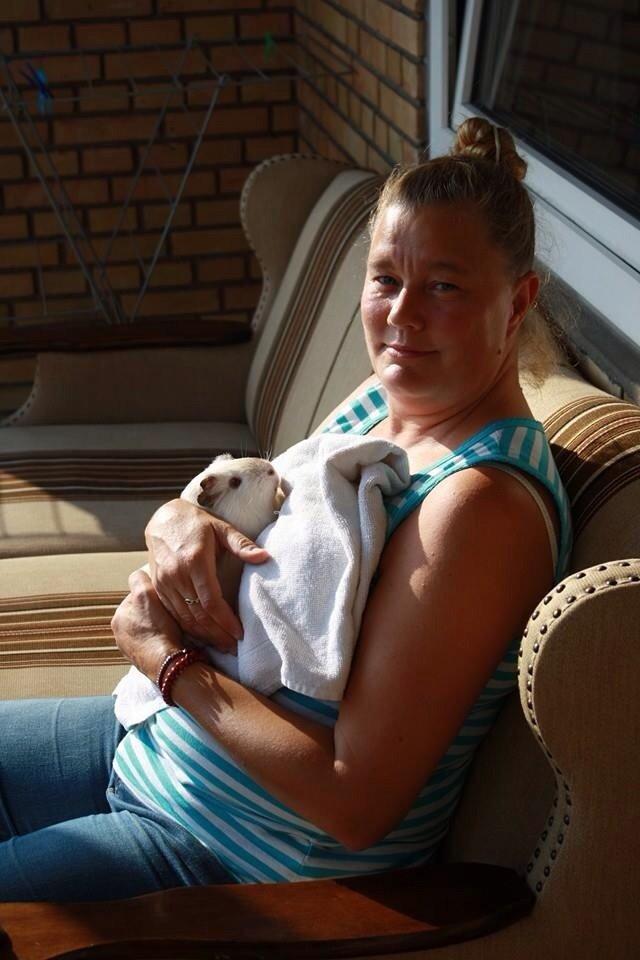 Marsvin Sif ~ lille fis billede 27