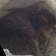 Marsvin Tilde my soulmate <3