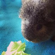 Marsvin Tilde my soulmate <3