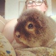 Marsvin Tilde my soulmate <3