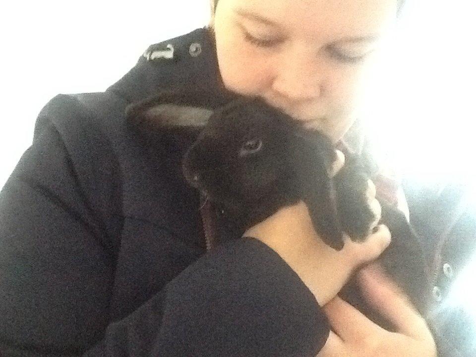 Kanin Winston billede 2