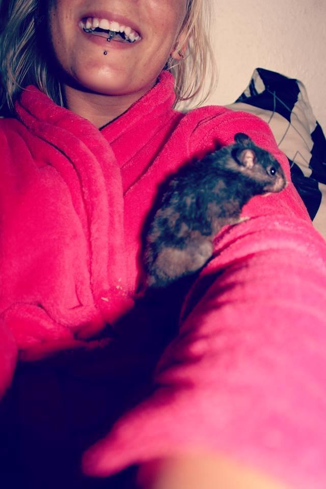 Hamster Chili † billede 5