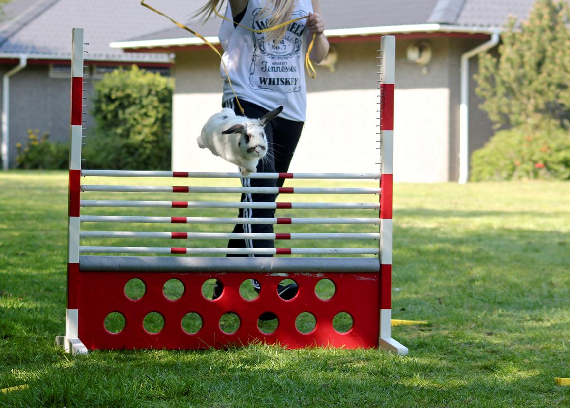 Kanin Winds Giyan billede 12