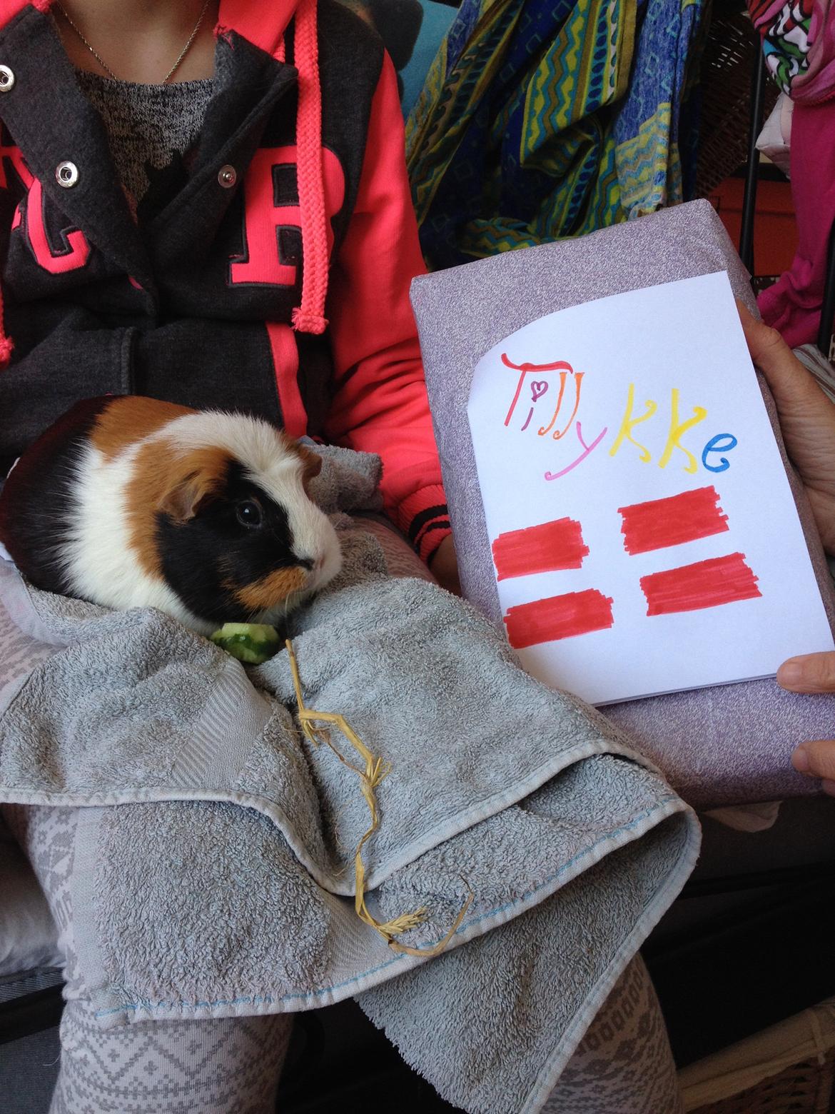 Marsvin Brunpote <3 - Fødselsdag :) tillykke mit svin, 4 år! <3 billede 20