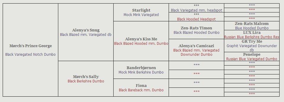 Tamrotte Mørch's Prince George (Tom) billede 10