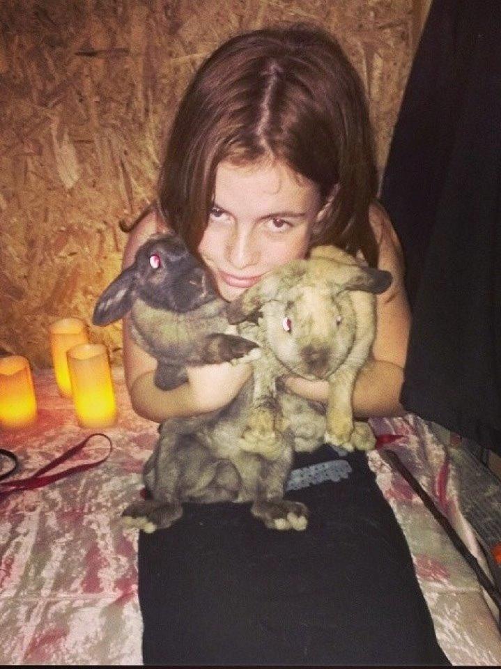 Kanin Cita billede 1