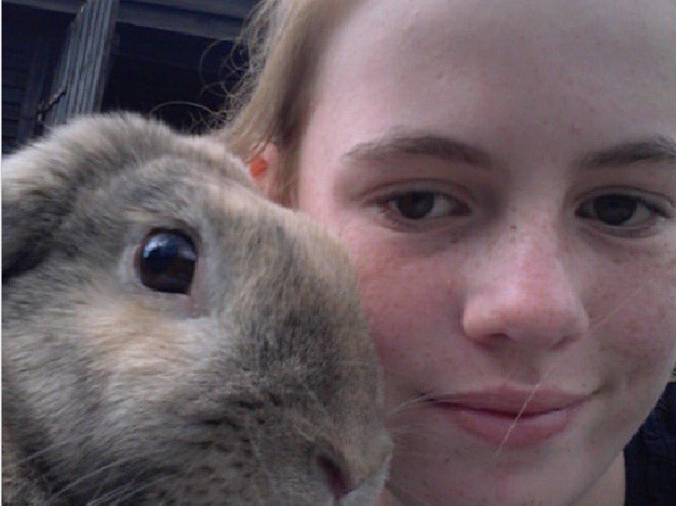 Kanin Cita billede 5