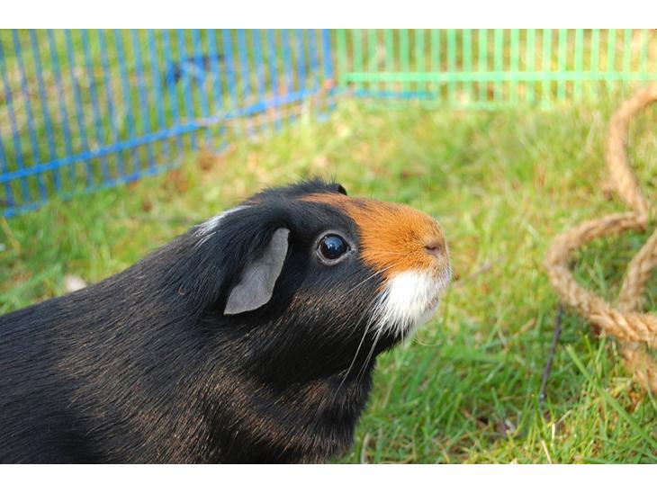 {{currentPhoto.altText}} billede {{currentPhoto.number}}