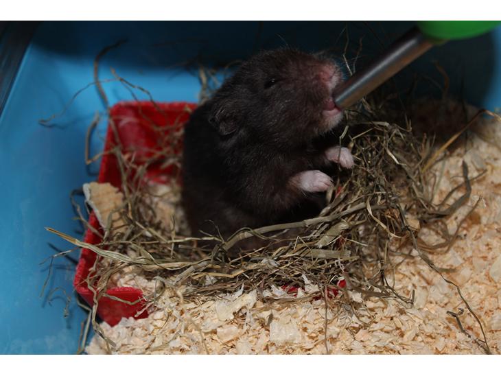 {{currentPhoto.altText}} billede {{currentPhoto.number}}