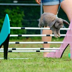 Kanin Rosas Costa Del Sol *R.I.P*