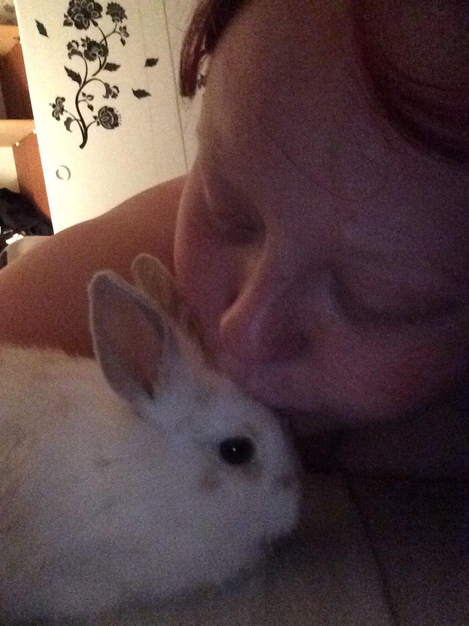 Kanin Silke billede 4