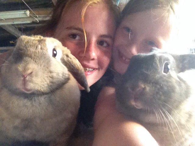 Kanin Trunte billede 12